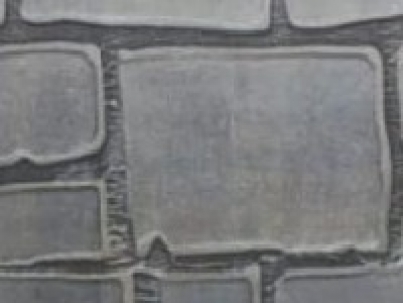 EG 0003T